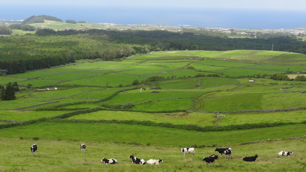 Вілла Quinta Do Chico Feijao Лажиш Номер фото